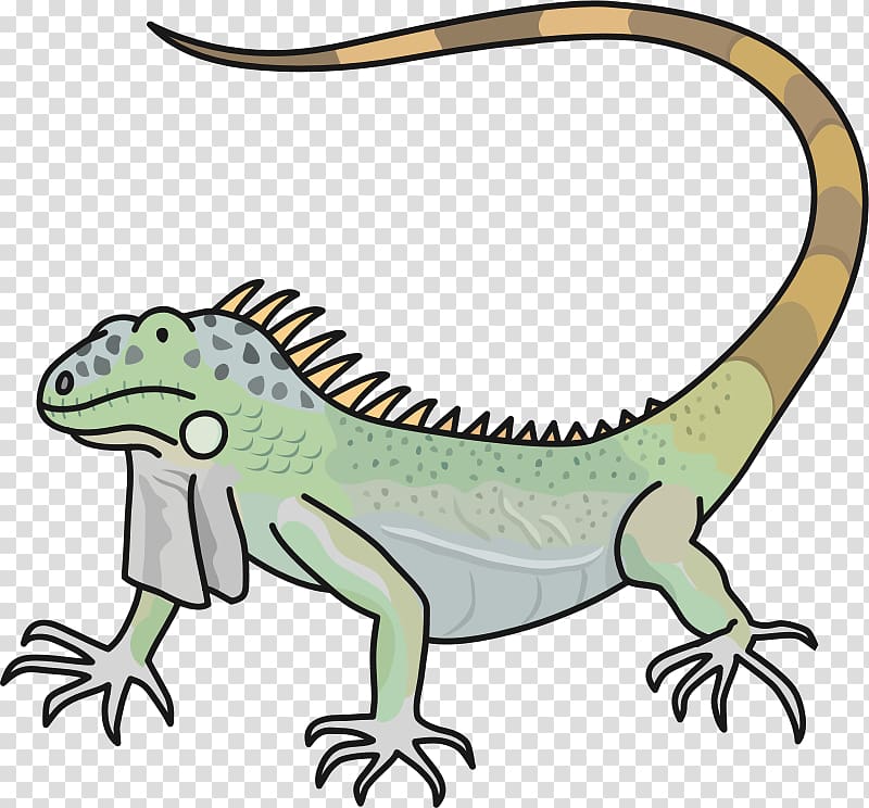 Green iguana Public domain Copyright-free , lizard transparent background PNG clipart