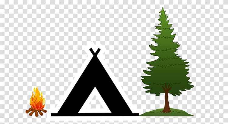Christmas tree Pine Camping Campsite , Backpacking Hiking transparent background PNG clipart