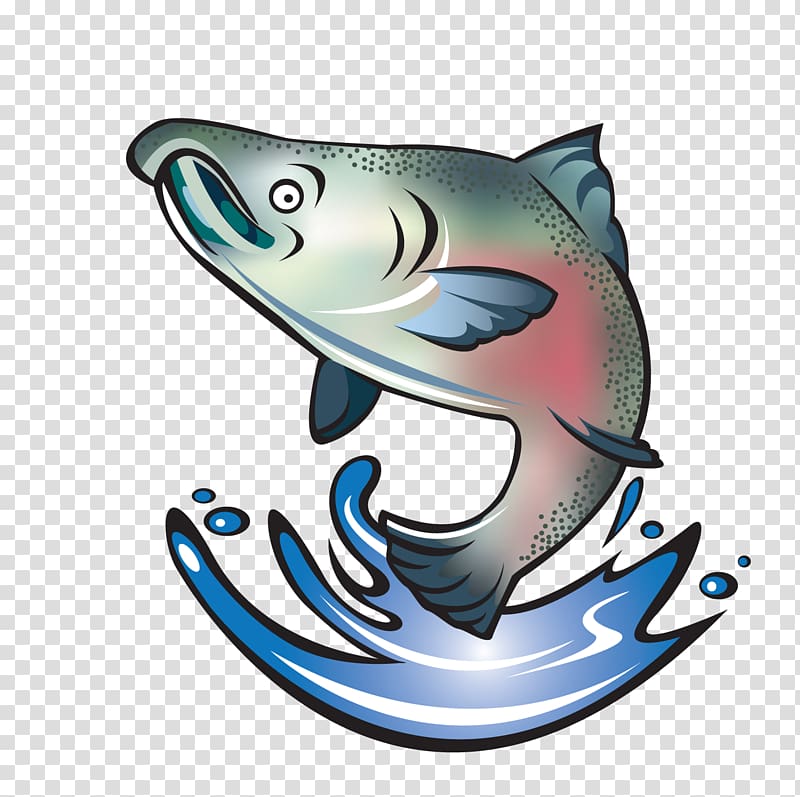 fish illustration, Coho salmon Chinook salmon Sockeye salmon Fish, SALMON transparent background PNG clipart