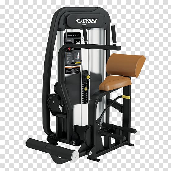 Cybex International Crunch Strength training Abdomen Exercise equipment, fiteness transparent background PNG clipart