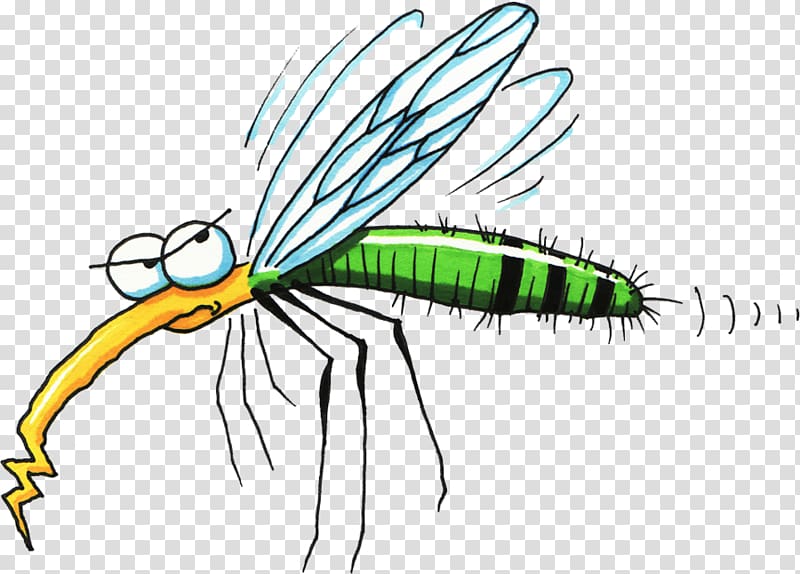 Mosquito Open Free content graphics, mosquito transparent background PNG clipart