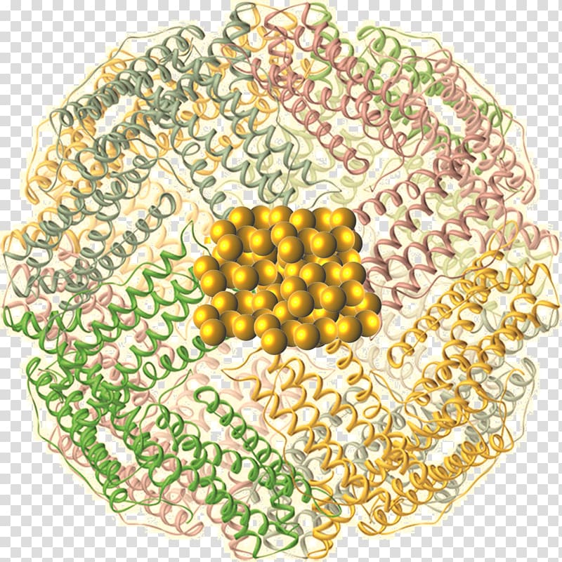 Material, Molecular Virology transparent background PNG clipart