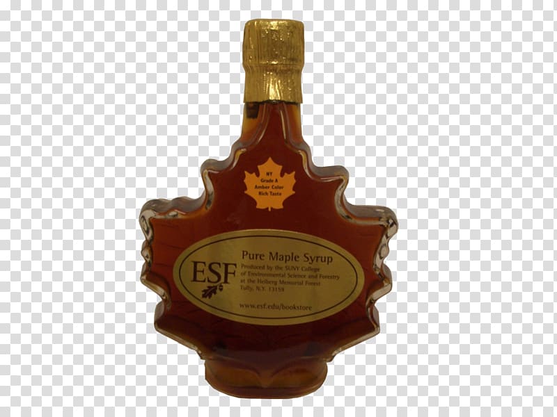 Liqueur Maple syrup SUNY College of Environmental Science and Forestry, maple leaf syrup transparent background PNG clipart