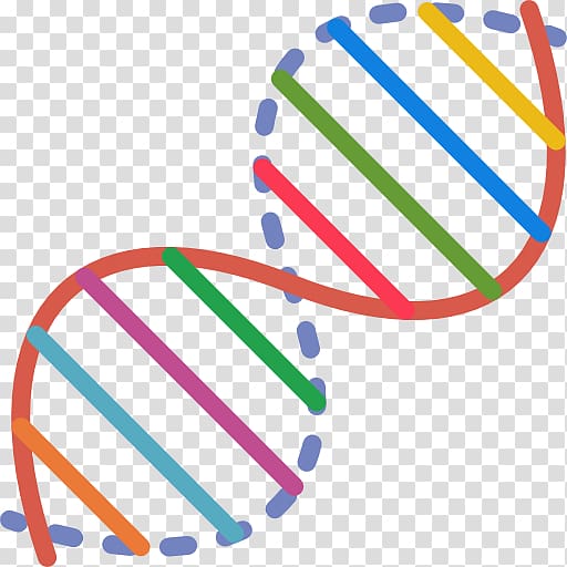 DNA transparent background PNG clipart