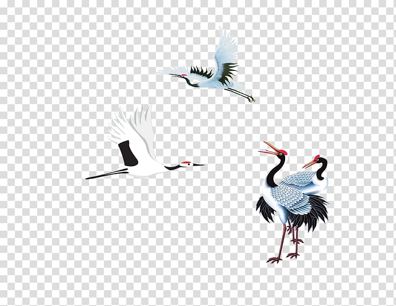 Red-crowned Crane Creative transparent background PNG clipart