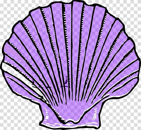 Clam Seashell , Shell transparent background PNG clipart