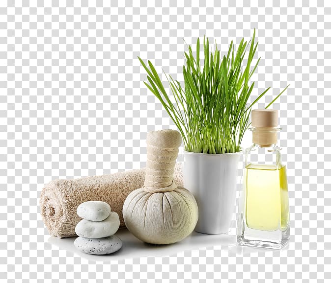 green plants and clear glass bottle, White Bamboo Spa Massage Day spa Beauty Parlour, others transparent background PNG clipart