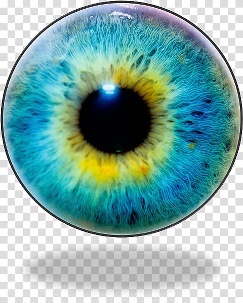 Iris Human eye Pupil Eye color, Eye transparent background PNG clipart