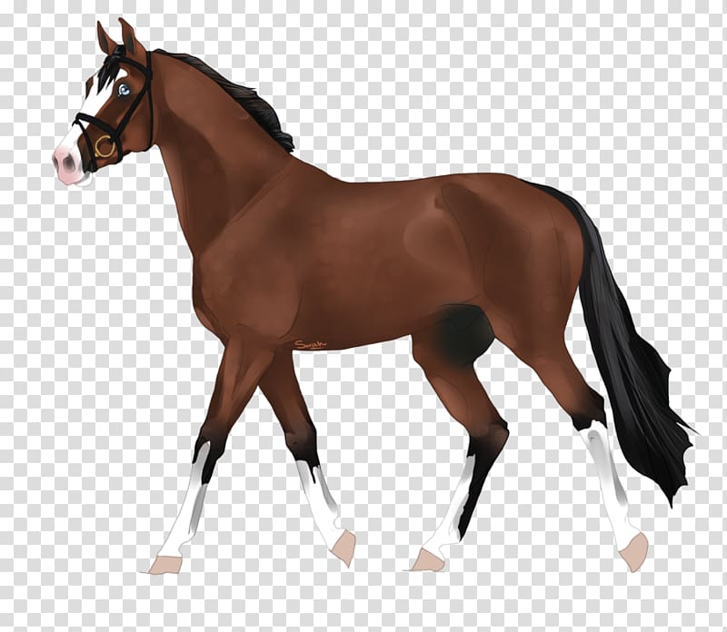 Amazon.com Mare Clydesdale horse Andalusian horse Toy, toy transparent background PNG clipart