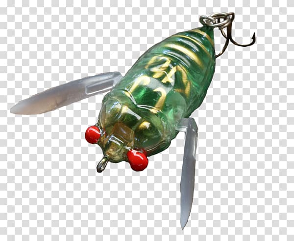 Spoon lure Insect Fishing Baits & Lures Cicadas Spinnerbait, insect transparent background PNG clipart