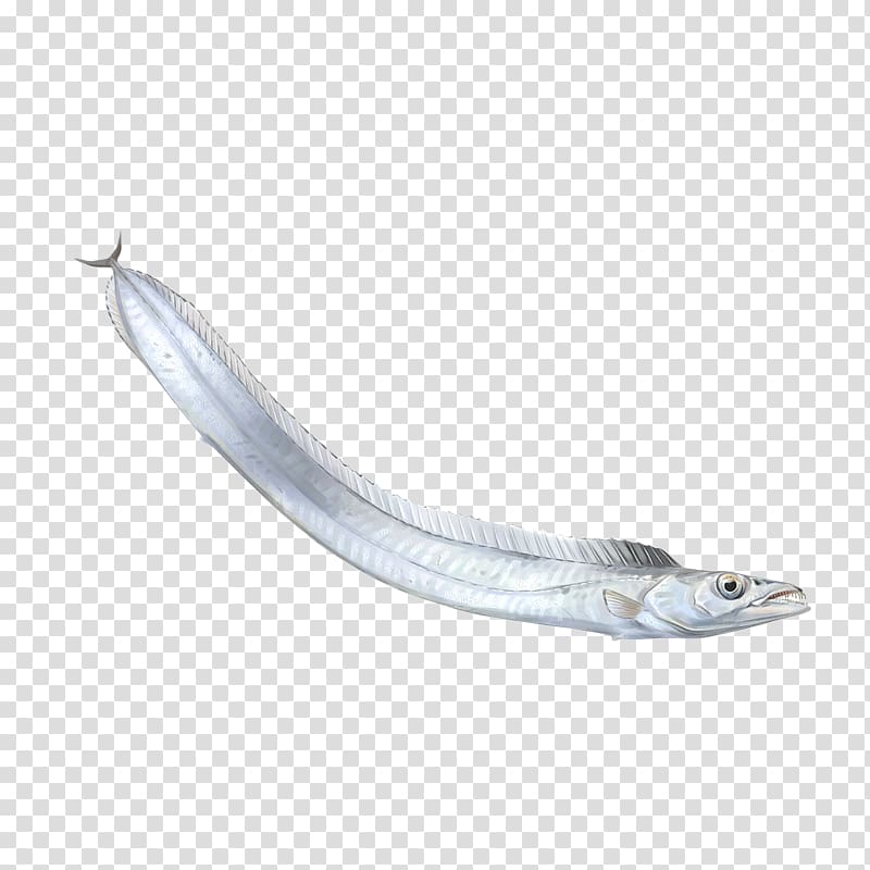 Sardine Oily fish Reptile Capelin, PESCADO transparent background PNG clipart