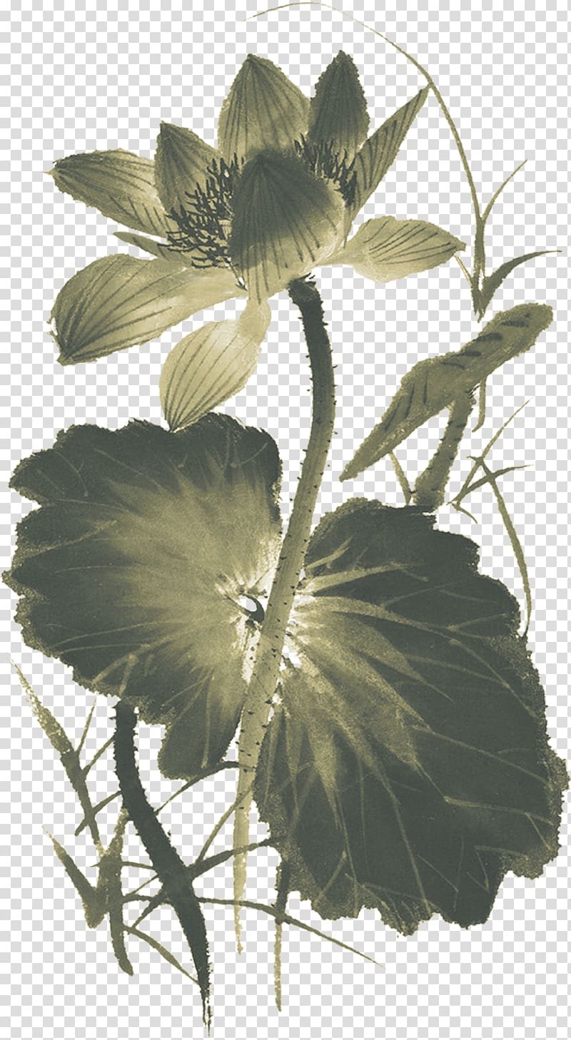 Ink wash painting Chinese painting Nelumbo nucifera Bird-and-flower painting, Flower, lotus, lotus ink, Taobao material transparent background PNG clipart