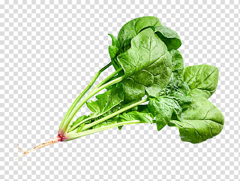 Chard Food Leaf, A few slices of vegetables and leaves transparent background PNG clipart
