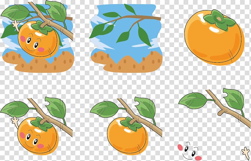 Persimmon tree expression transparent background PNG clipart