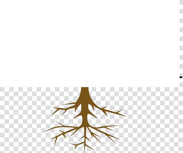 Tree Branch Root , Tree Root Font transparent background PNG clipart