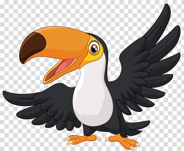 Toucan , others transparent background PNG clipart