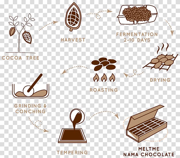 History of chocolate Cocoa bean Cacao tree Food, chocolate transparent background PNG clipart
