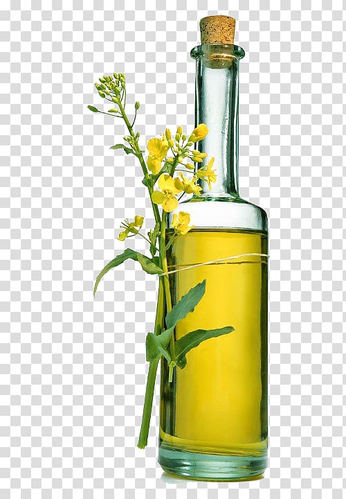 Olive oil Rapeseed Bottle Cooking Oils, Cauliflower and a bottle of rapeseed oil transparent background PNG clipart