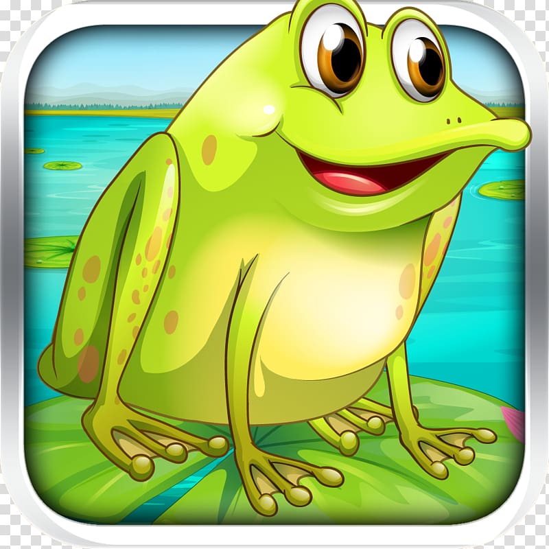 True frog Tree frog, frog transparent background PNG clipart