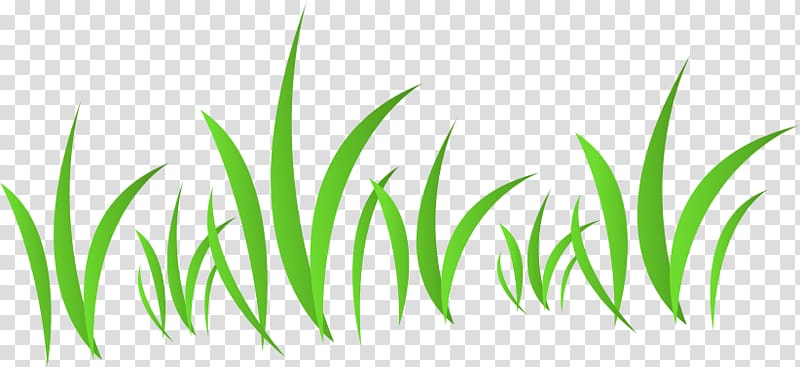 green grass , , Grass transparent background PNG clipart