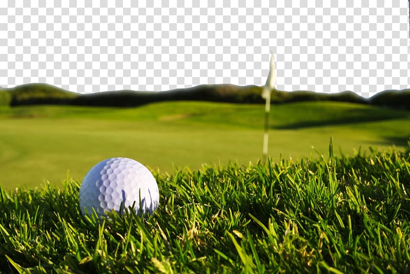 white golf ball on golf field, Golf Display resolution High-definition television , A golf transparent background PNG clipart