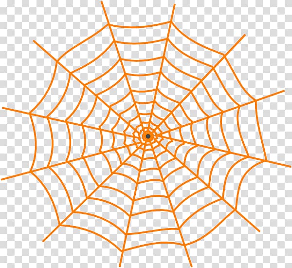 Spider web , spider transparent background PNG clipart