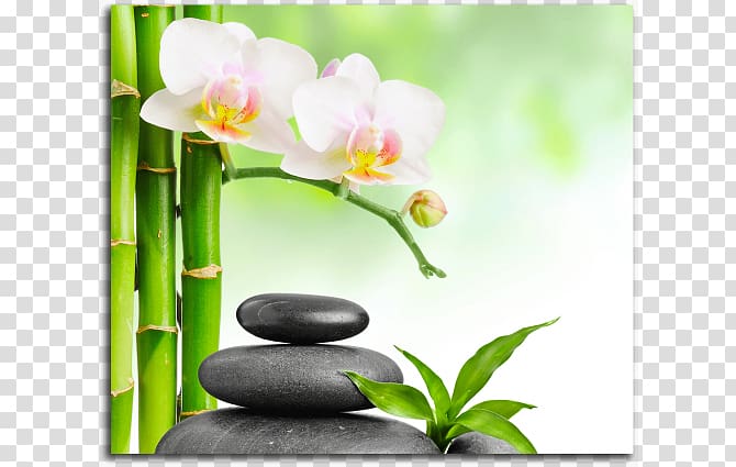 Desktop Spa Light Thai massage Stone massage, spa background transparent background PNG clipart