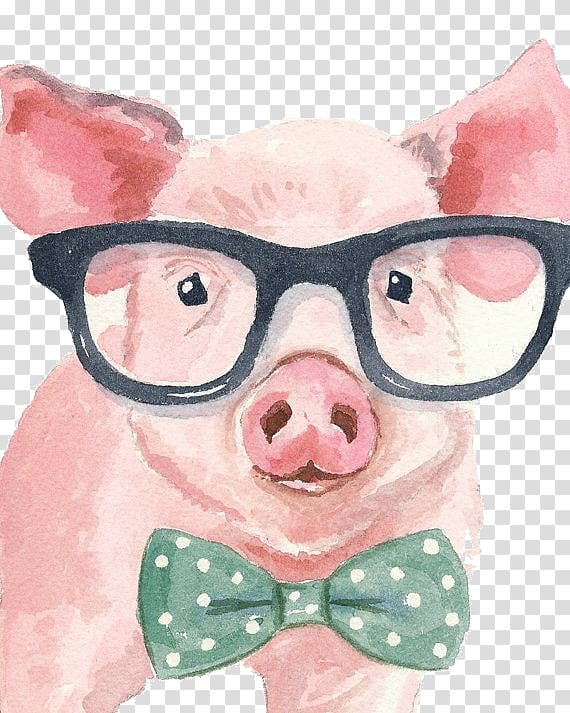 pig painting illustration, Piglet Painting Miniature pig Canvas, pig transparent background PNG clipart