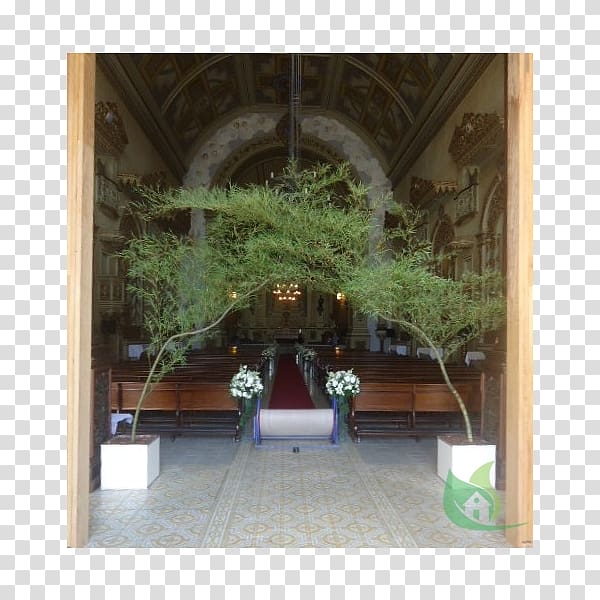 Property Tree Hacienda Courtyard by Marriott Houseplant, tree transparent background PNG clipart