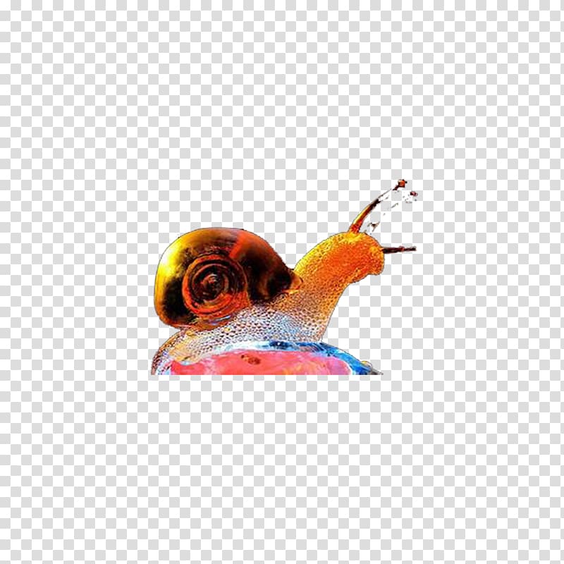 Caracol Orthogastropoda Color, Color snail transparent background PNG clipart