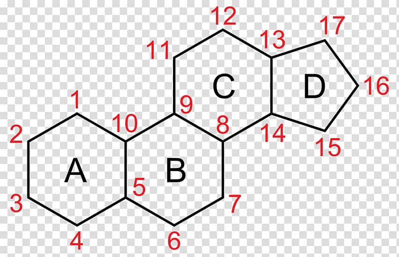 Sterane Lipid Steroid Sterol Hormone, ABCD transparent background PNG clipart