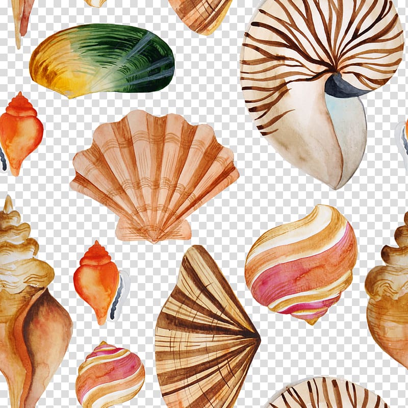 Seashell Textile Tayrona Store, Tile Shading Shellfish transparent background PNG clipart