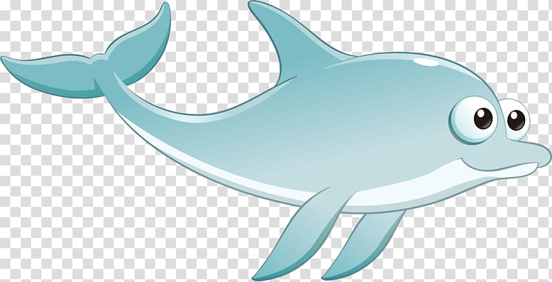 Common bottlenose dolphin , Cartoon Blue Dolphin transparent background PNG clipart