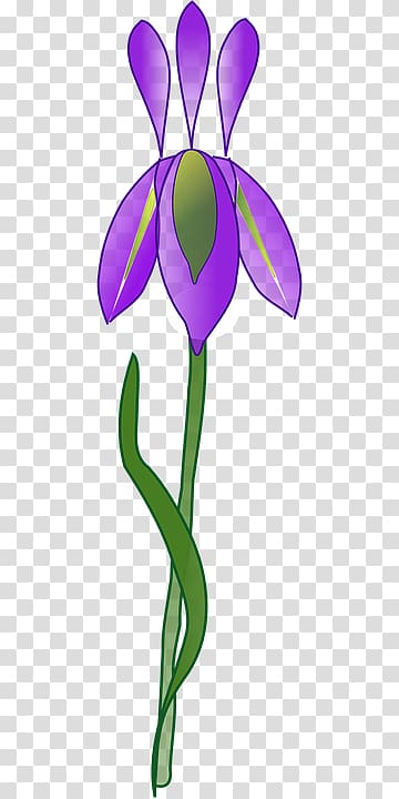 Iris versicolor , flower transparent background PNG clipart