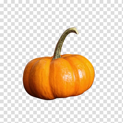 Pumpkin Calabaza Gourd Vegetable, pumpkin transparent background PNG clipart