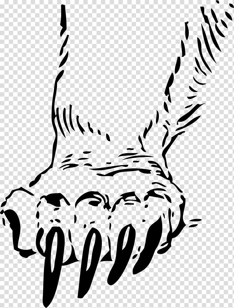 Grizzly Bear Paw Decal Claw Scratch Transparent Background Png Clipart Hiclipart Browse our bear claw scratch mark images, graphics, and designs from +79.322 free vectors graphics. grizzly bear paw decal claw scratch