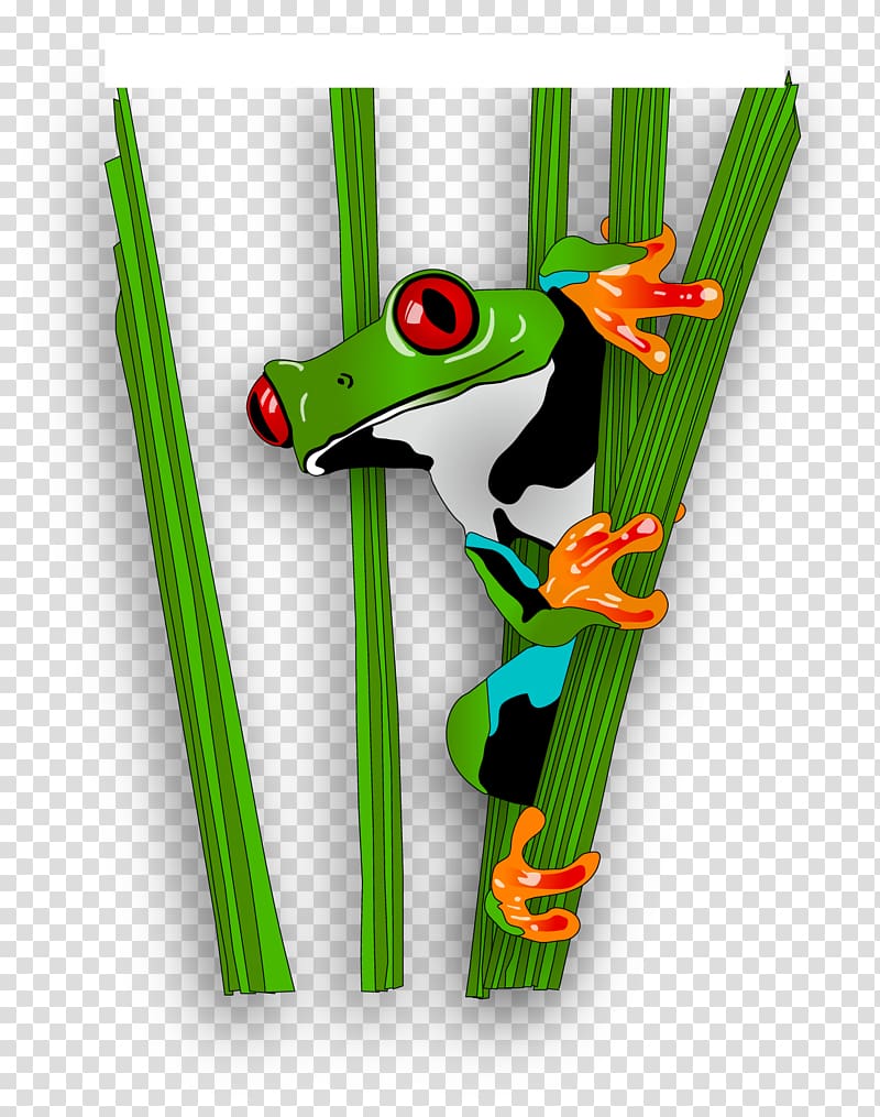 Red-eyed tree frog Pillow, Grass frog transparent background PNG clipart