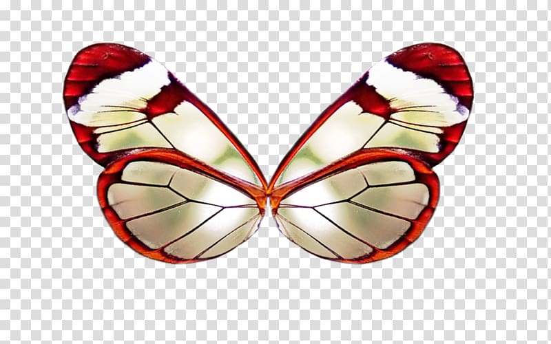 Butterfly , Bloody Knife transparent background PNG clipart