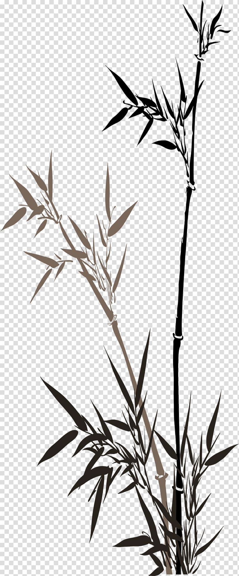 black and brown plant , China Ink wash painting Bamboo, Chinese bamboo ink material in spring transparent background PNG clipart