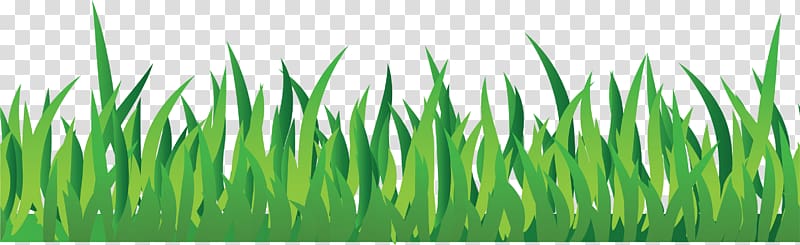 , grass , green grass transparent background PNG clipart