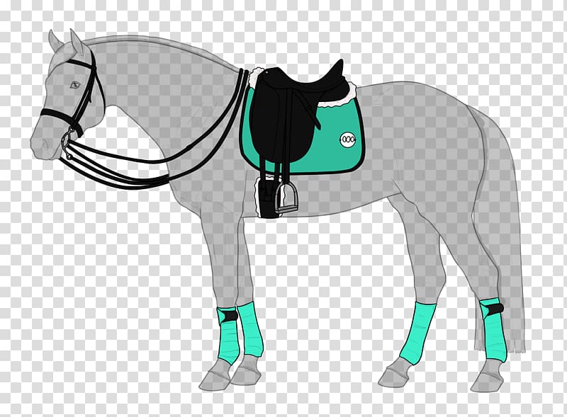 Horse Tack Bridle Dressage Show jumping, horse transparent background PNG clipart