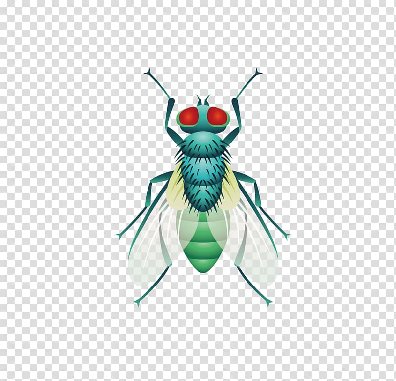 Fly Insect, Five insect flies material transparent background PNG clipart