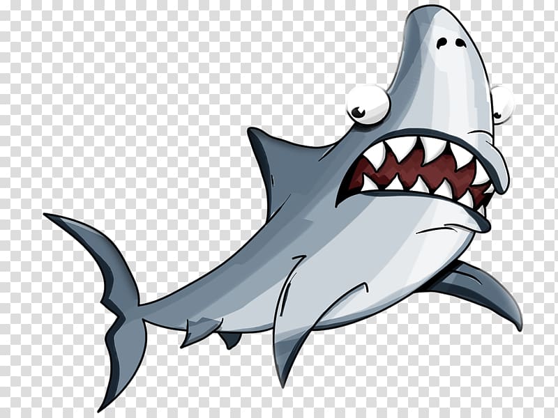 Great white shark Dog Killer whale Shark Jaws, shark transparent background PNG clipart