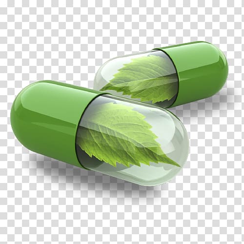 two green medication capsules, Dietary supplement Herbalism Alternative Health Services, cherish life away from drugs transparent background PNG clipart