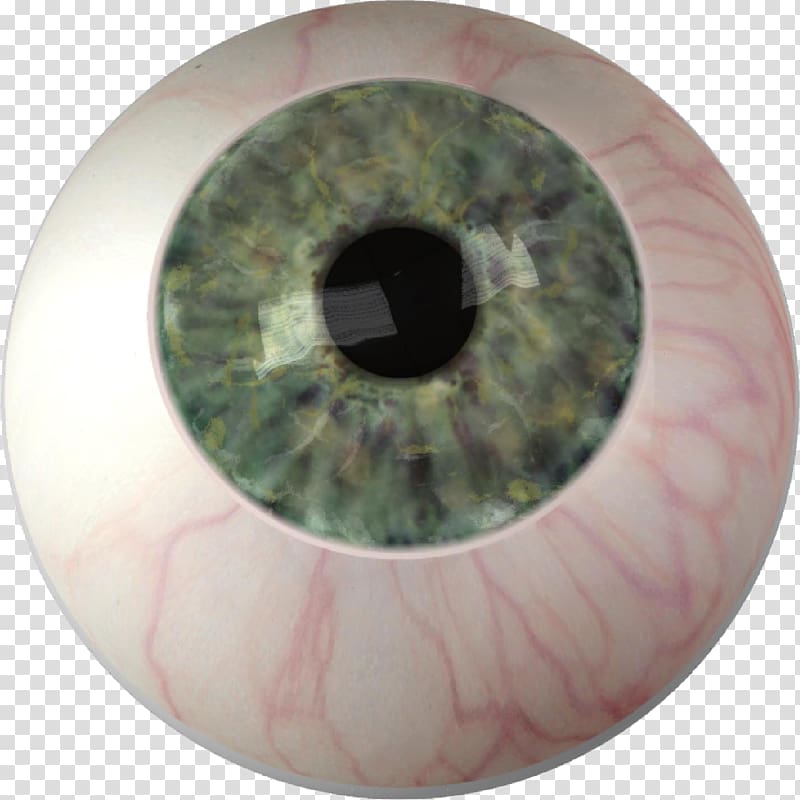 Iris Eye color Ocular prosthesis, Eye transparent background PNG clipart