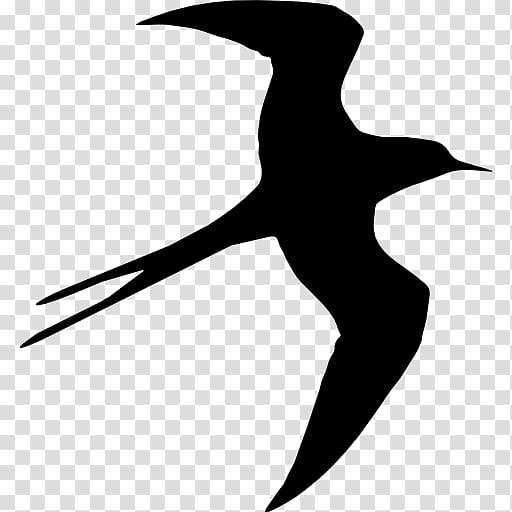 Bird Silhouette Swallow Drawing, Bird transparent background PNG clipart