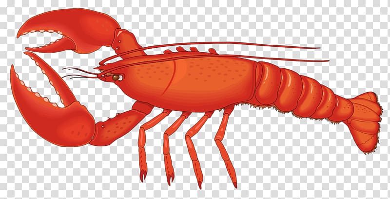 Lobster Free content Blog , lobster transparent background PNG clipart