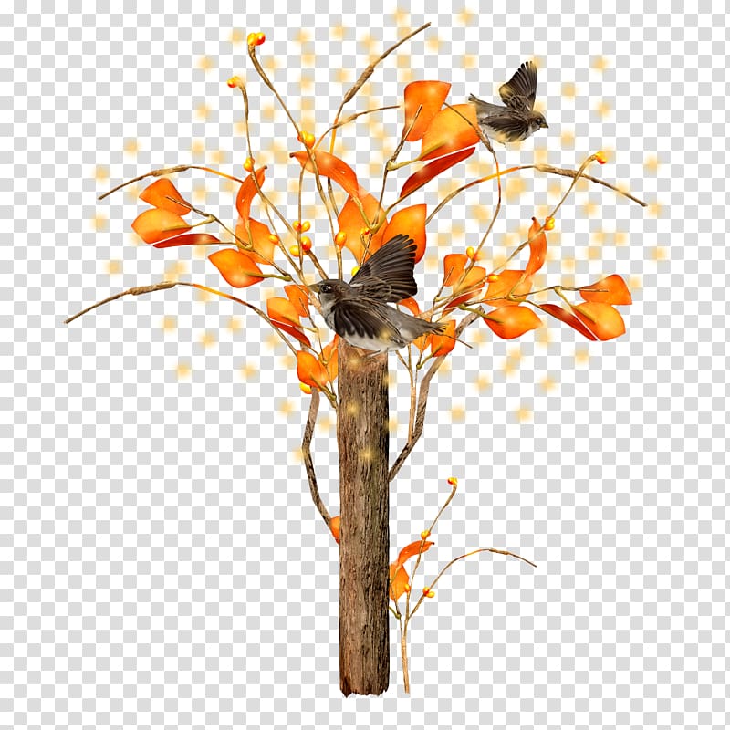 Floral design , Bird tree transparent background PNG clipart