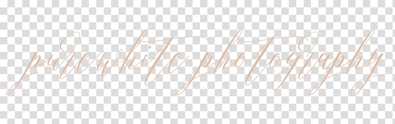 Calligraphy Brand Line Font, pure white transparent background PNG clipart