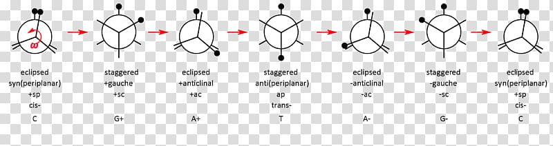 Paper Point Technology White, molecular chain transparent background PNG clipart